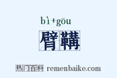 臂鞲是什么意思的图片